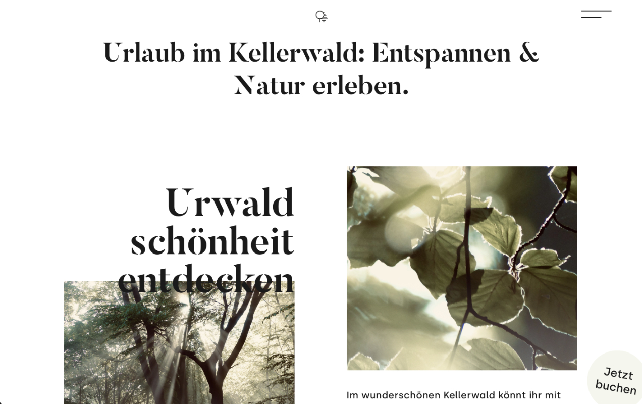 Haus Kellerwald, Webdesign